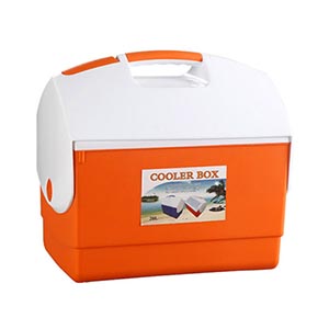 cooler box JL-B-020L