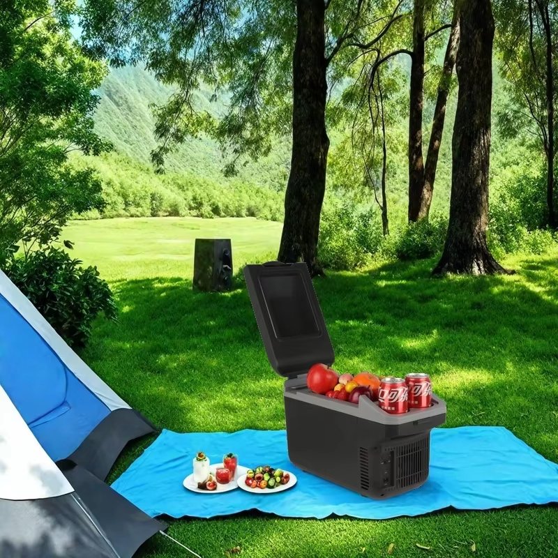 kelylands thermoelectric cooler box CBP-8L-1 for camping