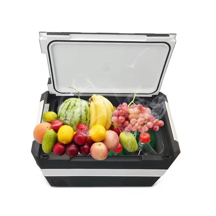 kelylands compressor car fridge CFP-45L for cooling fruits