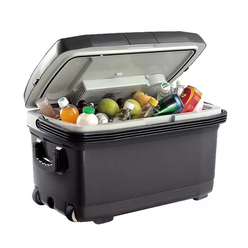 kelylands thermoelectric cooler box CBP-50L-A storage usage