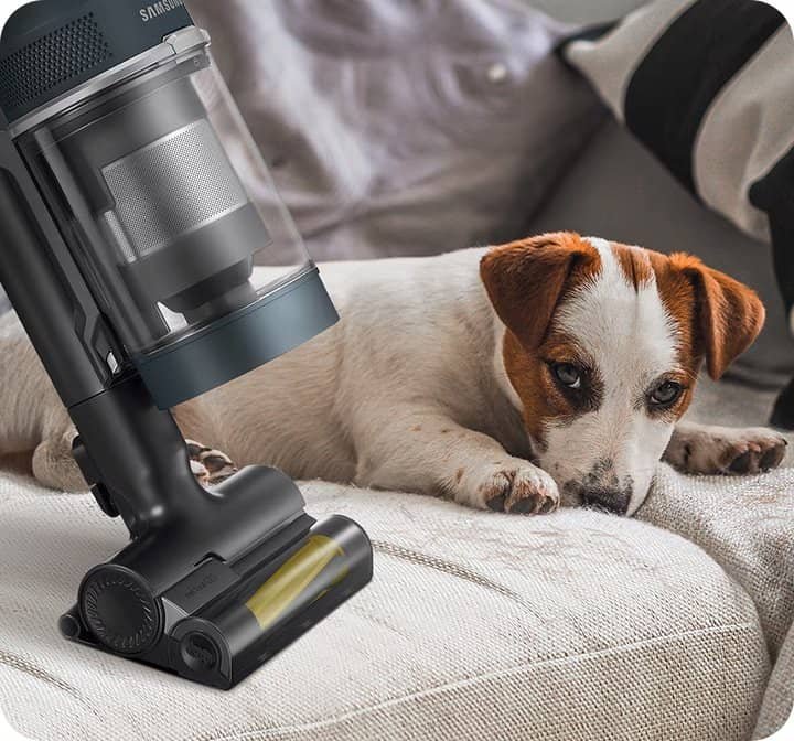Vacuum cleaner car accessory for pet hair removal and cleaning.