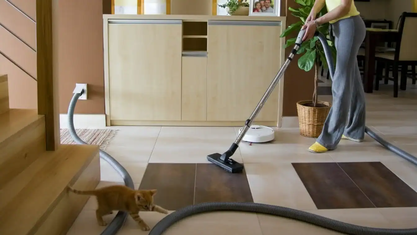 Woman vacuuming living room with a handheld vacuum cleaner, pet cat nearby.