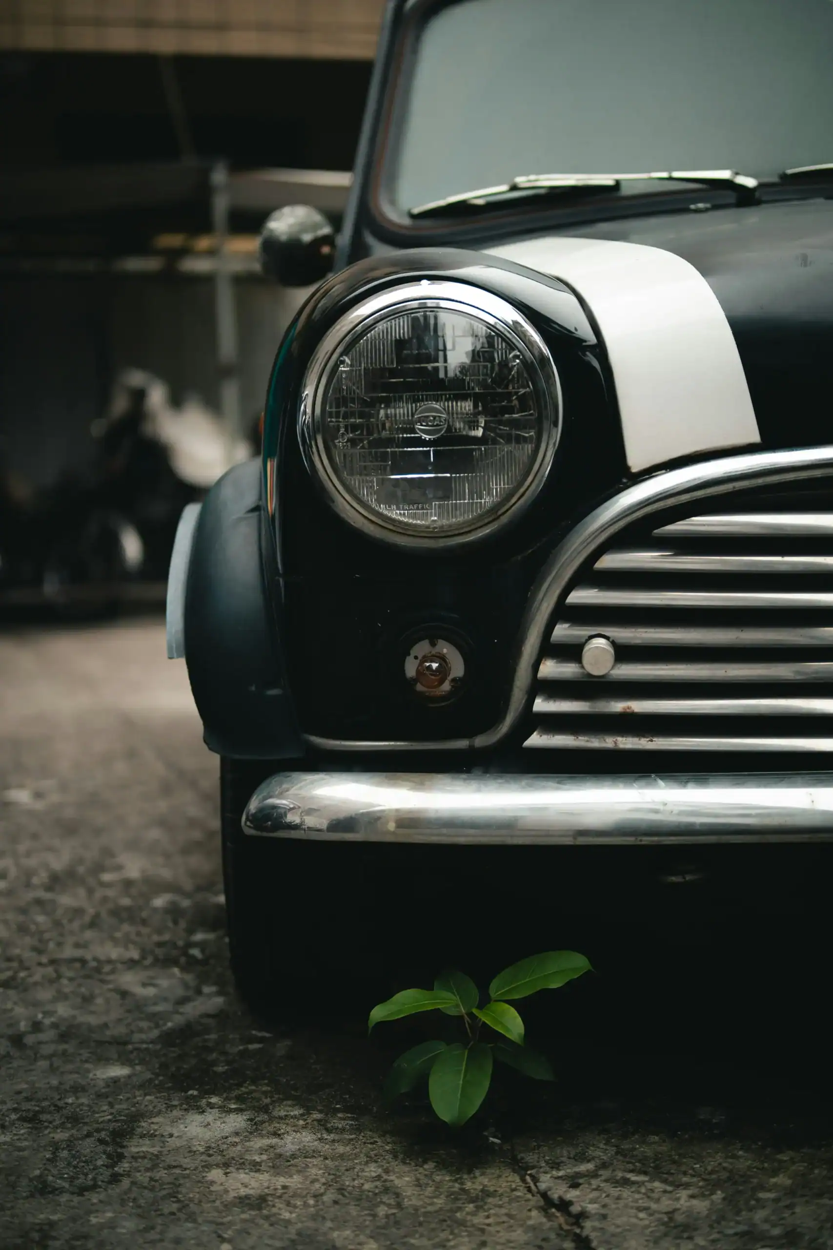 Unsplash Image nVHdaBeS46g by Kevin Wang