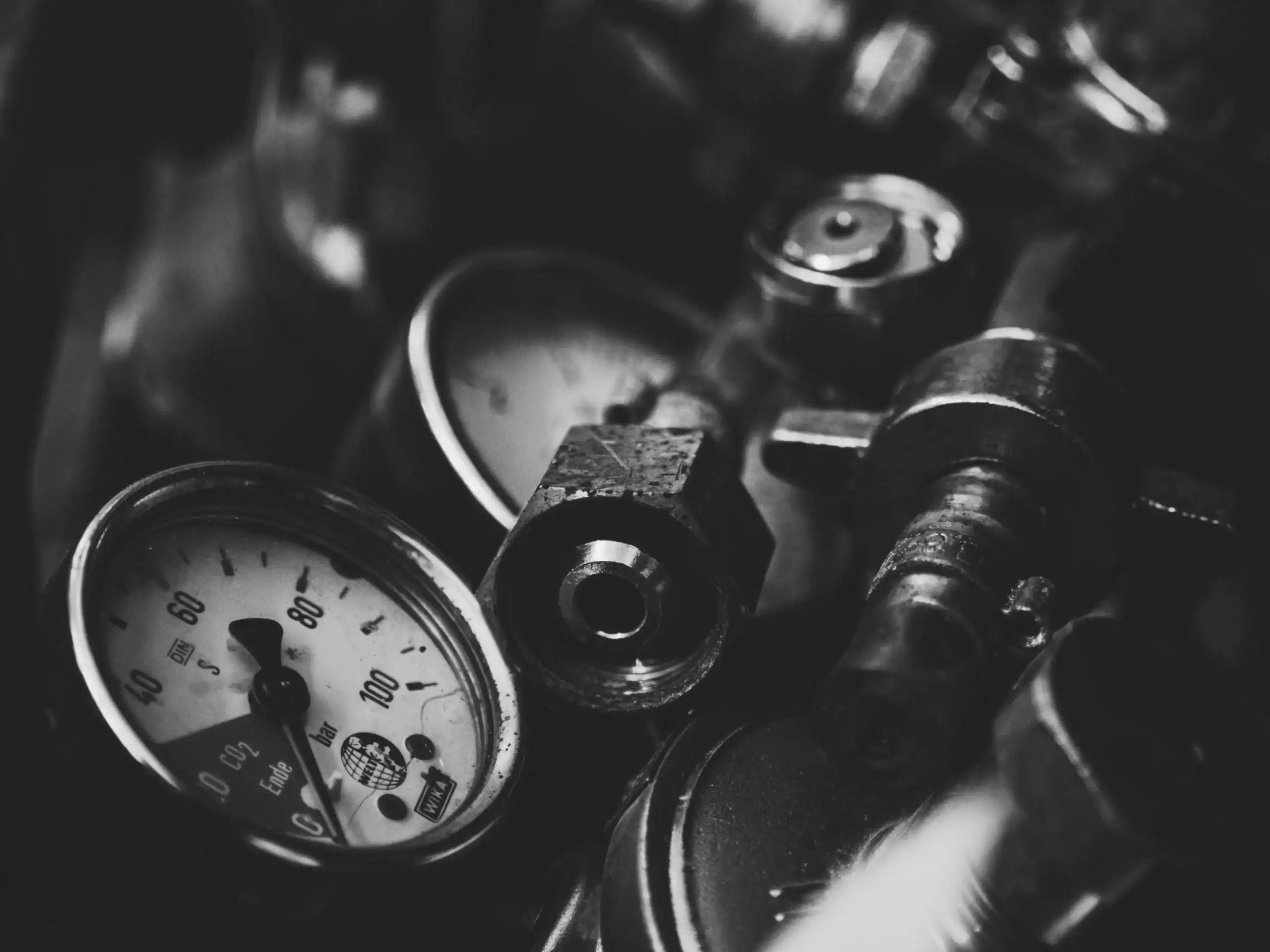 Image Unsplash TSd3YPU3szw par Filip Filipov